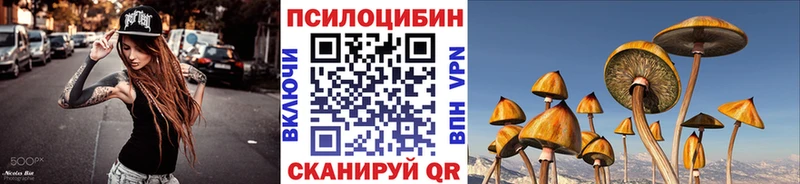 Псилоцибиновые грибы Cubensis  Кузнецк 